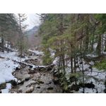 Zdjęcia użytkowników Samsung Galaxy S21+