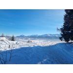 Zdjęcia użytkowników Samsung Galaxy S21+