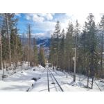 Zdjęcia użytkowników Samsung Galaxy S21+