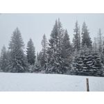 Zdjęcia użytkowników Samsung Galaxy S21+