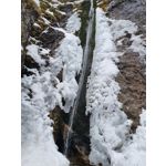 Zdjęcia użytkowników Samsung Galaxy S21+