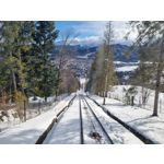 Zdjęcia użytkowników Samsung Galaxy S21+