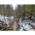 Zdjęcia użytkowników Samsung Galaxy S21+