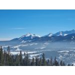 Zdjęcia użytkowników Samsung Galaxy S21+