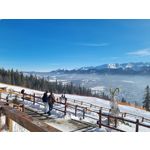 Zdjęcia użytkowników Samsung Galaxy S21+