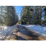 Zdjęcia użytkowników Samsung Galaxy S21+