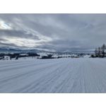 Zdjęcia użytkowników Samsung Galaxy S21+