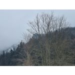 Zdjęcia użytkowników Samsung Galaxy S21+