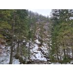 Zdjęcia użytkowników Samsung Galaxy S21+