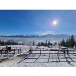 Zdjęcia użytkowników Samsung Galaxy S21+