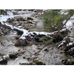 Zdjęcia użytkowników Samsung Galaxy S21+