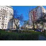 Zdjęcia użytkowników Samsung Galaxy S22