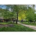 Zdjęcia użytkowników Samsung Galaxy S22