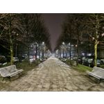 Zdjęcia użytkowników Samsung Galaxy S22