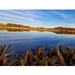 Zdjęcia użytkowników Samsung Galaxy S22