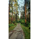 Zdjęcia użytkowników Samsung Galaxy S22