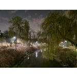 Zdjęcia użytkowników Samsung Galaxy S22