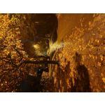 Zdjęcia użytkowników Samsung Galaxy S22