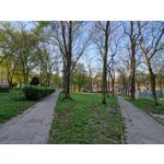 Zdjęcia użytkowników Samsung Galaxy S22