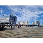 Zdjęcia użytkowników Samsung Galaxy S22