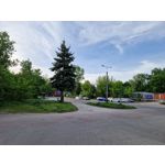 Zdjęcia użytkowników Samsung Galaxy S22