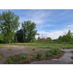 Zdjęcia użytkowników Samsung Galaxy S22