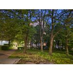 Zdjęcia użytkowników Samsung Galaxy S22