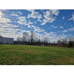 Zdjęcia użytkowników Samsung Galaxy S22