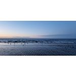 Zdjęcia użytkowników Samsung Galaxy S22