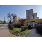 Zdjęcia użytkowników Samsung Galaxy S22