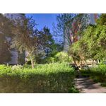 Zdjęcia użytkowników Samsung Galaxy S22