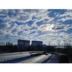 Zdjęcia użytkowników Samsung Galaxy S22