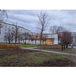 Zdjęcia użytkowników Samsung Galaxy S22