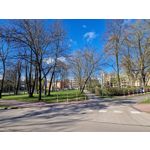 Zdjęcia użytkowników Samsung Galaxy S22