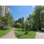 Zdjęcia użytkowników Samsung Galaxy S22