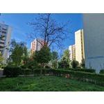 Zdjęcia użytkowników Samsung Galaxy S22