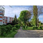 Zdjęcia użytkowników Samsung Galaxy S22