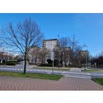 Zdjęcia użytkowników Samsung Galaxy S22