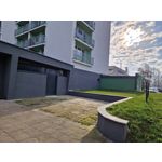 Zdjęcia użytkowników Samsung Galaxy S22