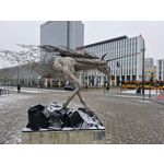 Zdjęcia użytkowników Samsung Galaxy S23 FE