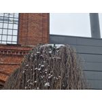 Zdjęcia użytkowników Samsung Galaxy S23 FE