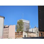 Zdjęcia użytkowników Samsung Galaxy S23 Ultra Dual SIM