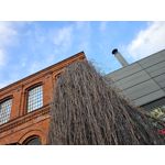 Zdjęcia użytkowników Samsung Galaxy S23 Ultra Dual SIM