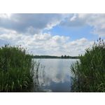 Zdjęcia użytkowników Samsung Galaxy S23 Zdjęcia użytkowników Samsung Galaxy S23