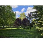 Zdjęcia użytkowników Samsung Galaxy S23 Zdjęcia użytkowników Samsung Galaxy S23