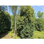 Zdjęcia użytkowników Samsung Galaxy S23 Zdjęcia użytkowników Samsung Galaxy S23