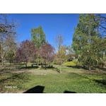 Zdjęcia użytkowników Samsung Galaxy S23 Zdjęcia użytkowników Samsung Galaxy S23