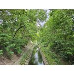 Zdjęcia użytkowników Samsung Galaxy S23 Zdjęcia użytkowników Samsung Galaxy S23