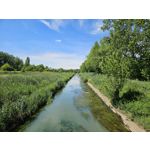 Zdjęcia użytkowników Samsung Galaxy S23 Zdjęcia użytkowników Samsung Galaxy S23