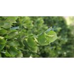 Zdjęcia użytkowników Samsung Galaxy S23 Zdjęcia użytkowników Samsung Galaxy S23